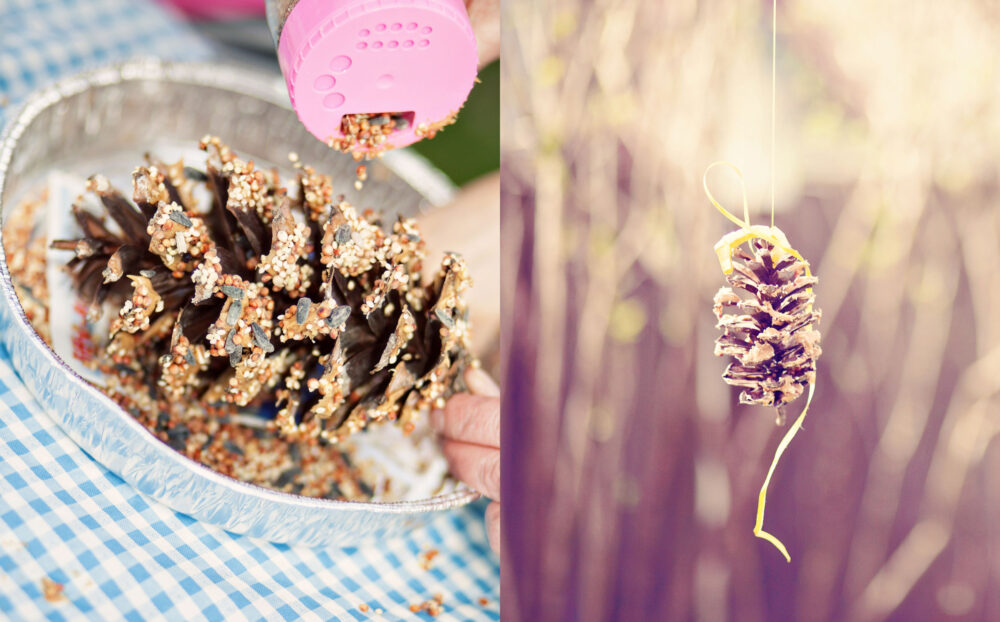 blog-photography