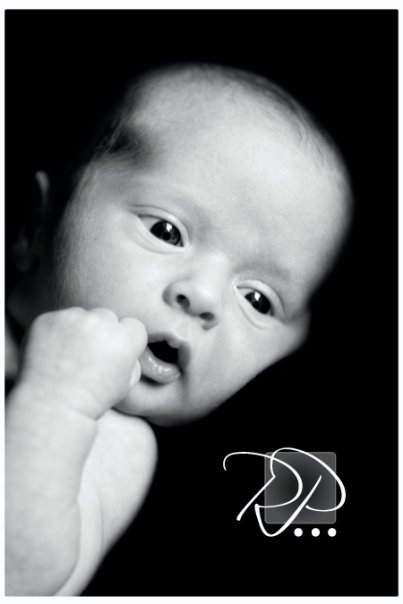 newborn-portrait-7